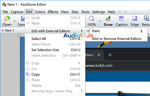 FastStone Capture Full Español Mega Portable