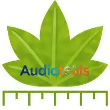 Digimizer v6.5.1 Completo Activado Full WiN Español 2026